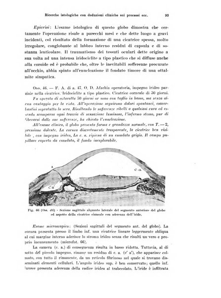 Annali di ottalmologia e clinica oculistica