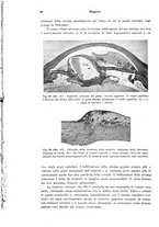 giornale/PUV0041464/1941/unico/00000114