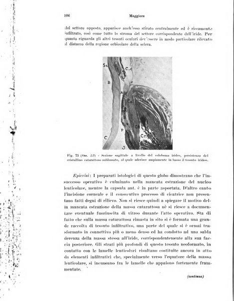 Annali di ottalmologia e clinica oculistica