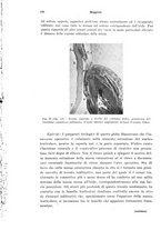 giornale/PUV0041464/1941/unico/00000124