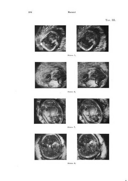 Annali di ottalmologia e clinica oculistica