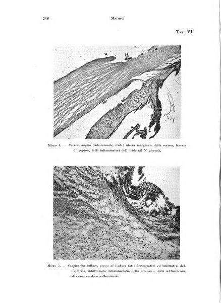 Annali di ottalmologia e clinica oculistica