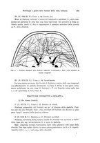 giornale/PUV0041464/1941/unico/00000667