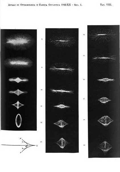 Annali di ottalmologia e clinica oculistica