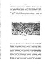 giornale/PUV0041464/1942/unico/00000112
