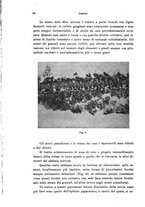 giornale/PUV0041464/1942/unico/00000118