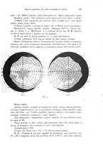 giornale/PUV0041464/1942/unico/00000243