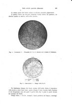 giornale/PUV0041464/1942/unico/00000281