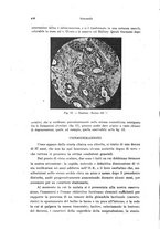 giornale/PUV0041464/1942/unico/00000492