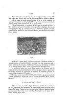 giornale/PUV0041464/1946/unico/00000117