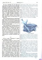 giornale/PUV0041812/1904/unico/00000297