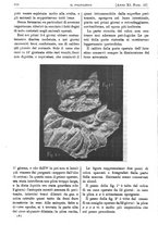 giornale/PUV0041812/1904/unico/00000394