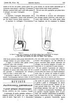 giornale/PUV0041812/1904/unico/00000581