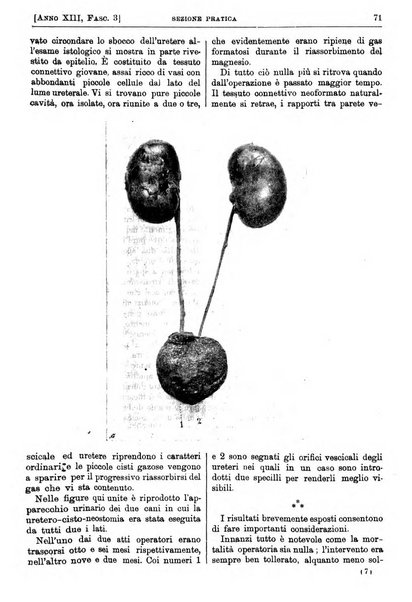 Il policlinico. Sezione pratica periodico di medicina, chirurgia e igiene