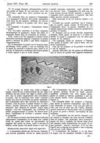 giornale/PUV0041812/1907/unico/00000987