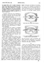 giornale/PUV0041812/1909/unico/00000791