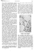 giornale/PUV0041812/1916/unico/00000827