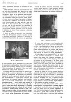 giornale/PUV0041812/1916/unico/00001137