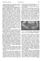 giornale/PUV0041812/1917/unico/00000869