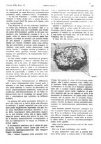 giornale/PUV0041812/1923/unico/00000221