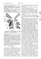 giornale/PUV0041812/1931/V.1/00000521