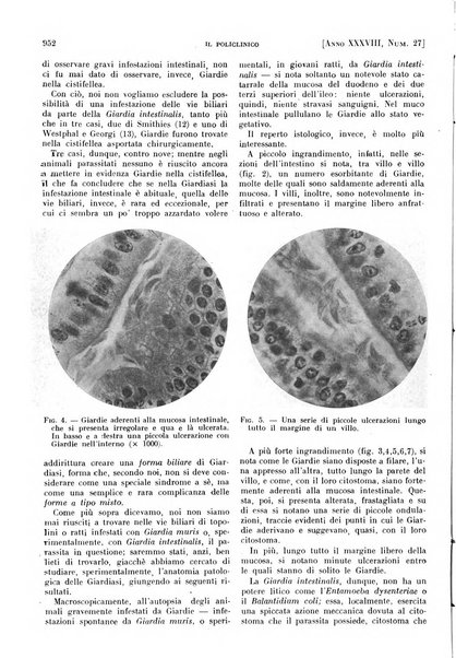 Il policlinico. Sezione pratica periodico di medicina, chirurgia e igiene