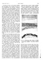 giornale/PUV0041812/1933/V.1/00000331