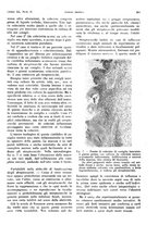 giornale/PUV0041812/1933/V.1/00000337