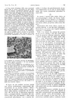 giornale/PUV0041812/1933/V.1/00000823