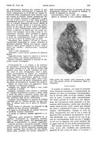 giornale/PUV0041812/1933/V.2/00000235