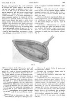 giornale/PUV0041812/1935/unico/00001079