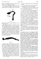 giornale/PUV0041812/1935/unico/00001445