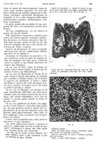 giornale/PUV0041812/1935/unico/00001731