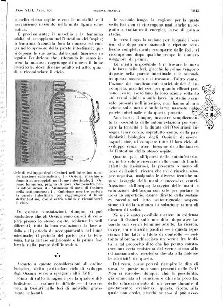 Il policlinico. Sezione pratica periodico di medicina, chirurgia e igiene