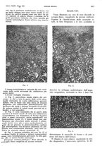 giornale/PUV0041812/1937/unico/00000781