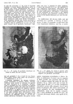 giornale/PUV0041812/1938/V.1/00000577