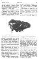 giornale/PUV0041812/1938/V.1/00000731