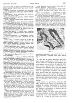 giornale/PUV0041812/1938/V.2/00000199