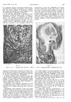 giornale/PUV0041812/1939/unico/00000477