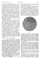 giornale/PUV0041812/1941/unico/00000893