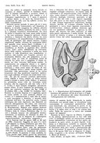 giornale/PUV0041812/1942/unico/00000783
