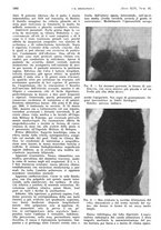 giornale/PUV0041812/1942/unico/00000784