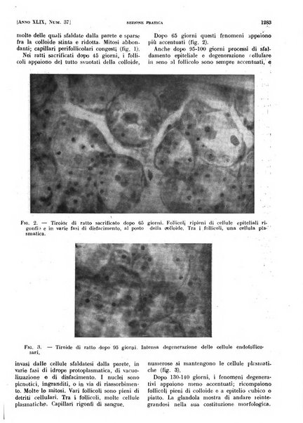 Il policlinico. Sezione pratica periodico di medicina, chirurgia e igiene