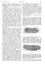 giornale/PUV0041812/1943/V.1/00000373