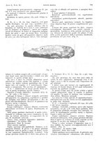 giornale/PUV0041812/1943/V.1/00000619