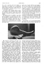 giornale/PUV0041812/1943/V.2/00000209