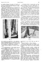 giornale/PUV0041812/1944/unico/00000029