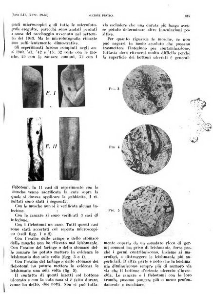 Il policlinico. Sezione pratica periodico di medicina, chirurgia e igiene