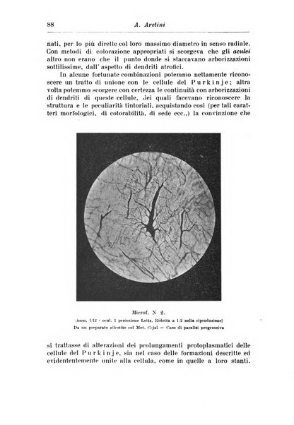 Rassegna di studi psichiatrici