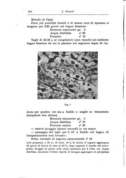 Rassegna di studi psichiatrici